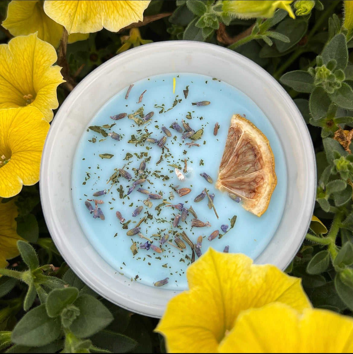 Rhythm of Pure Bliss