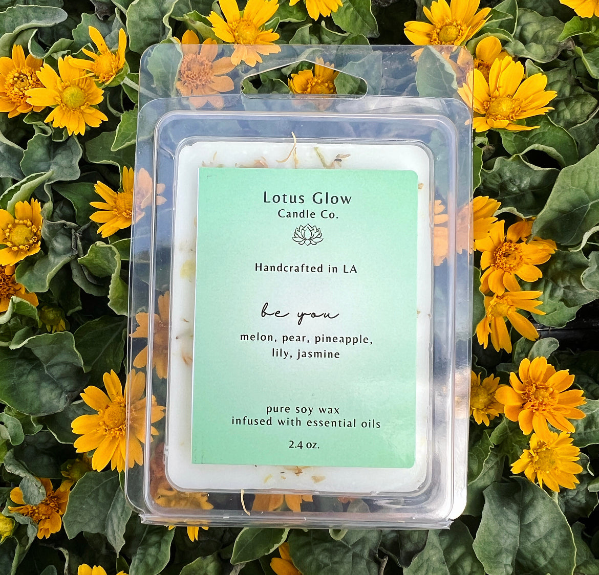 wax melts